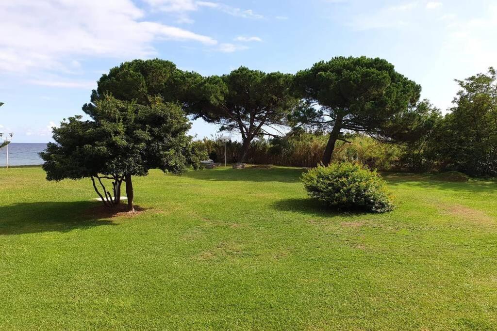 Studio bord de mer - Piscine - Plage San-Nicolao Eksteriør bilde